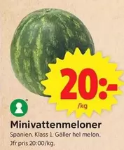 Minivattenmeloner