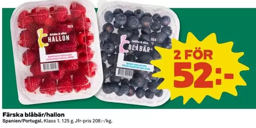 Färska blåbär/hallon