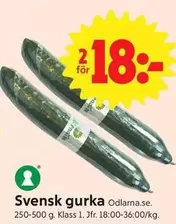 Svensk gurka