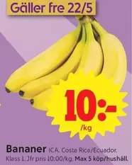 Bananer