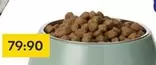 Dog Food