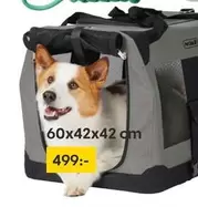 Dog Carrier