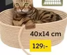 Cat bed