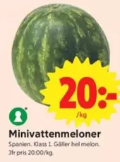 Minivattenmeloner