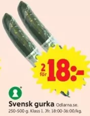 Svensk gurka