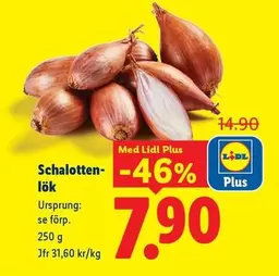 Schalotten-lök
