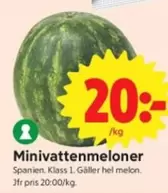 Minivattenmeloner