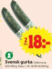 Svensk gurka