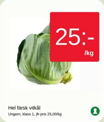 Hel farsk vitkål
