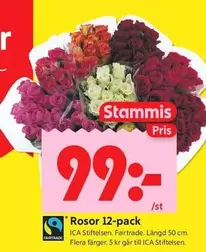 fairtrade - Rosor 12-pack