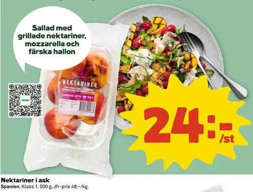 Coop - Nektariner i ask