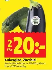 Aubergine, Zucchini