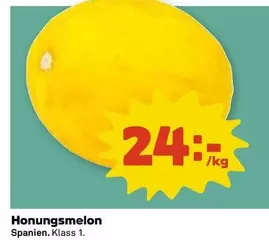 Honungsmelon