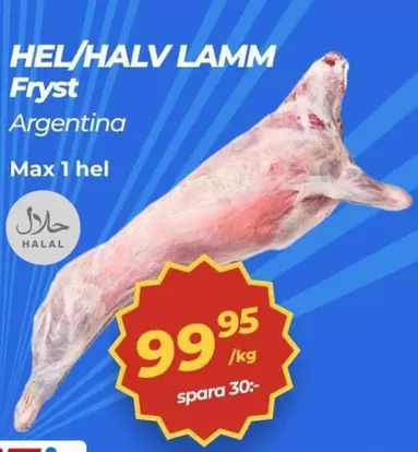 LAMM Fryst