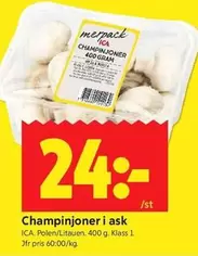 Champinjoner