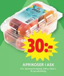 APRIKOSER I ASK