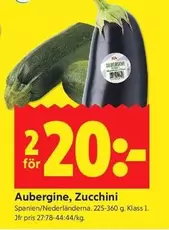 Aubergine, Zucchini