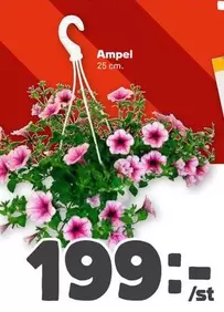 Ampel