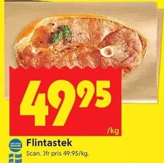 Scan - Flintastek