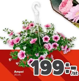Ampel