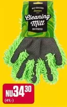 Cleaning Mitt