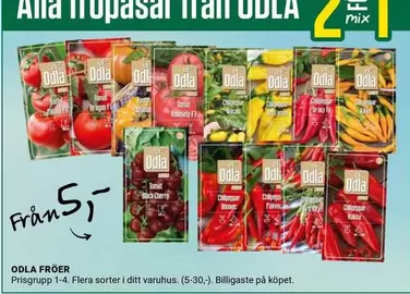 ODLA FRÖER