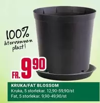 KRUKA/FAT BLOSSOM