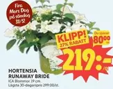 HORTENSIA RUNAWAY BRIDE