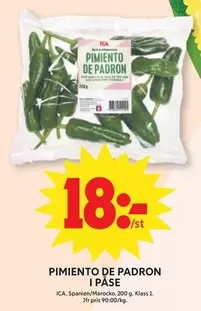 PIMIENTO DE PADRON