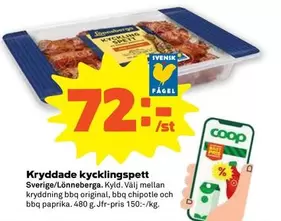Coop - Kryddade kycklingspett