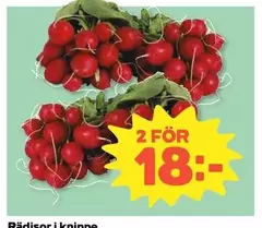 Rädisor i knippe