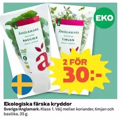 Änglamark - Ekologiska färska kryddor