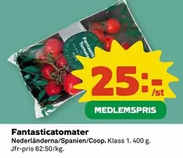 Fantasticatomater