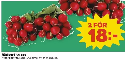 Rädisor i knippe