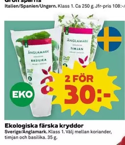 EKO - Ekologiska färska kryddor