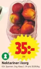 Nektariner i korg