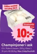 Champinjoner i ask