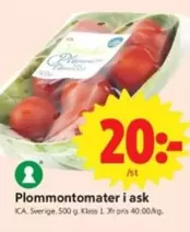 Plommontomater