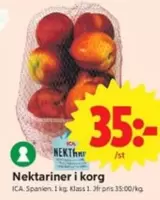 Nektariner