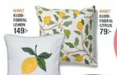 KUDD FODRAL LEMON
