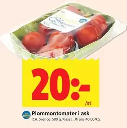 Plommontomater