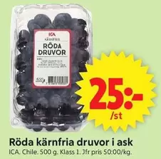 Röda kärnfria druvor