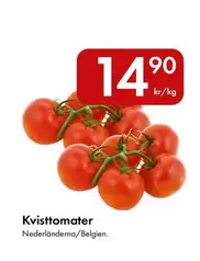 Kvisttomater