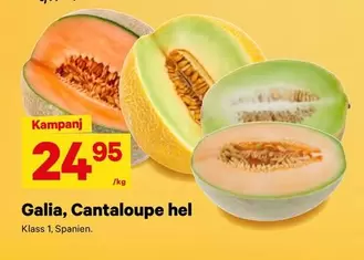 Galia, Cantaloupe hel