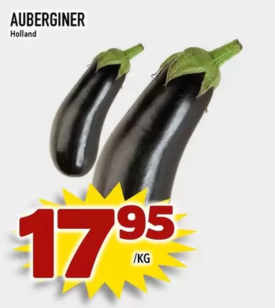 AUBERGINE