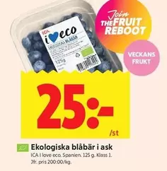 Ekologiska blåbär