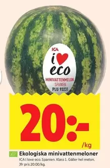 Ekologiska minivattenmeloner