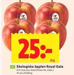 Ekologiska äpplen Royal Gala