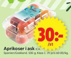 Aprikoser