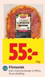 Scan - Flintastek